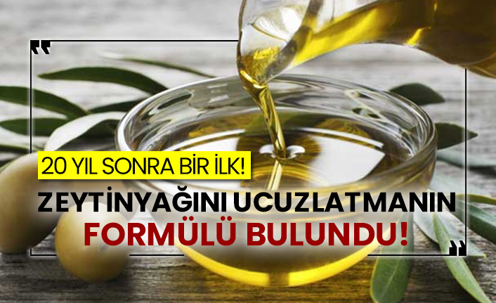 20 yıl sonra bir ilk! Zeytinyağını ucuzlatmanın formülü bulundu!