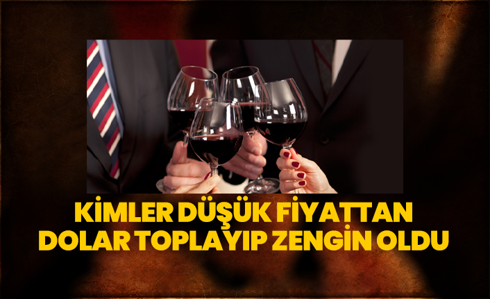 Kimler Düşük Fiyattan Dolar Toplayıp Zengin Oldu