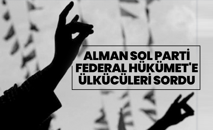 Alman Sol Parti, Federal Hükümet'e Ülkücüleri sordu