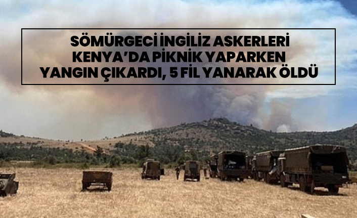 Sömürgeci İngiliz askerleri Kenya’da piknik yaparken  yangın çıkardı, 5 fil yanarak öldü