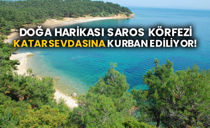 Doğa harikası Saros Körfezi Katar sevdasına kurban ediliyor!