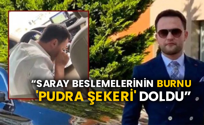 “Saray beslemelerinin burnu 'pudra şekeri' doldu”