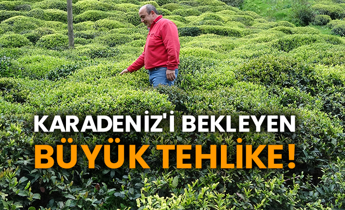 Karadeniz'i bekleyen büyük tehlike!