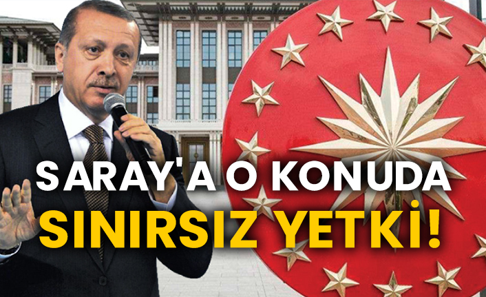 Saray'a o konuda sınırsız yetki!