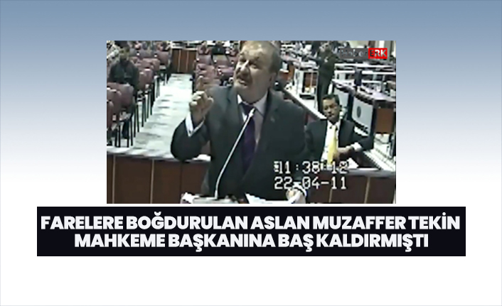Farelere boğdurulan Aslan Muzaffer Tekin mahkeme başkanına baş kaldırmıştı