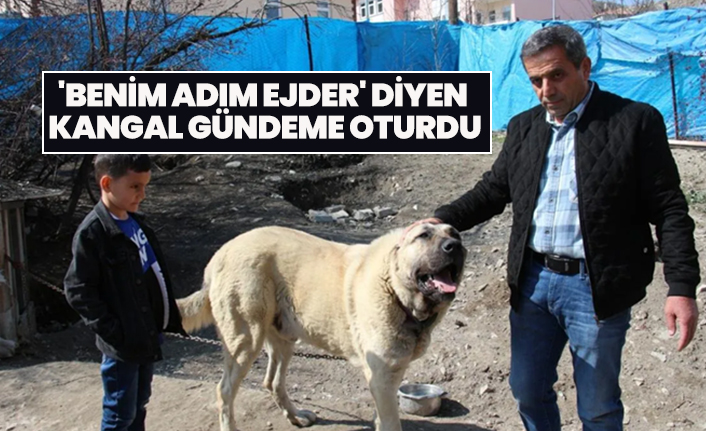 'Benim adım Ejder' diyen  Kangal gündeme oturdu