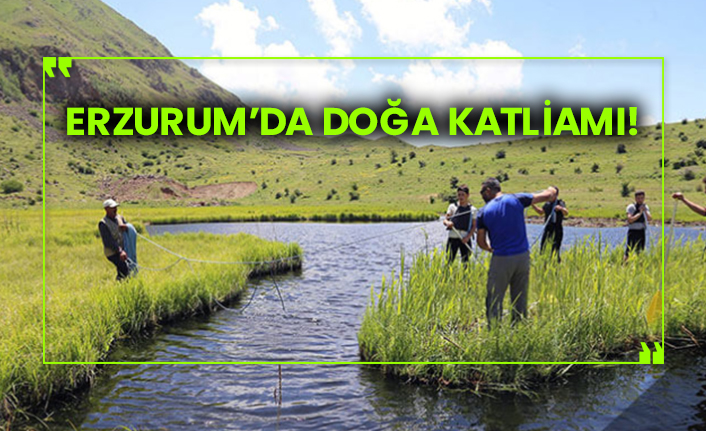 Erzurum’da doğa katliamı!