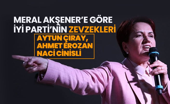 Meral Akşener’e göre  İYİ Parti’nin zevzekleri "Aytun Çıray, Ahmet Erozan ve Naci Cinisli"