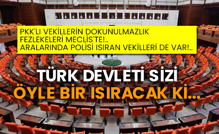 Pkk'lı vekillerin dokunulmazlık fezlekeleri Meclis'te!..  Aralarında polisi ısıran vekilleri de var!..  Türk devleti sizi öyle bir ısıracak ki...