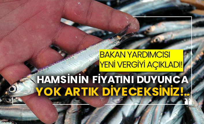 Bakan Yardımcısı yeni vergiyi açıkladı!  Hamsinin fiyatını duyunca yok artık diyeceksiniz!..