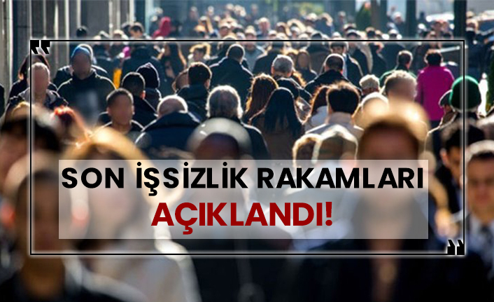 Şubat ayı işsizlik oranı açıklandı