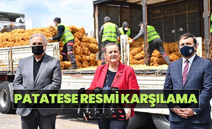 Patatese resmi karşılama