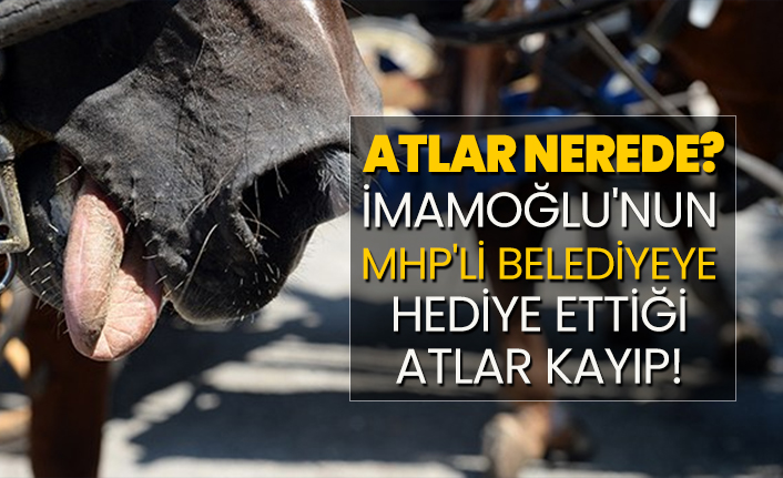 İmamoğlu'nun MHP'li belediye hediye ettiği atlar kayıp!  Atlar nerede?