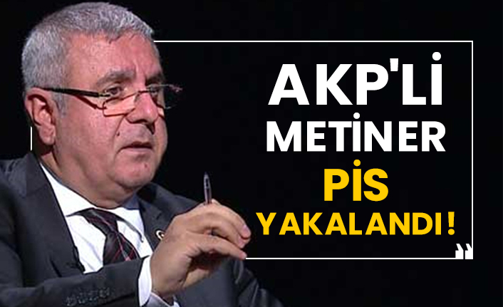 AKP'li Metiner pis yakalandı!