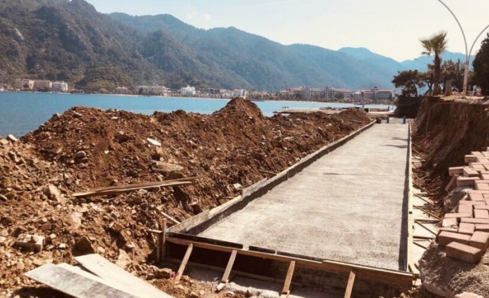 Plaj için ağaçları kestiler!