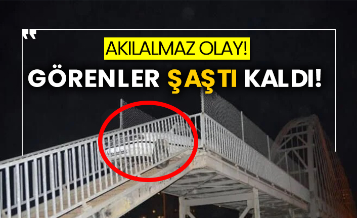 Akılalmaz olay!  Görenler şaştı kaldı!