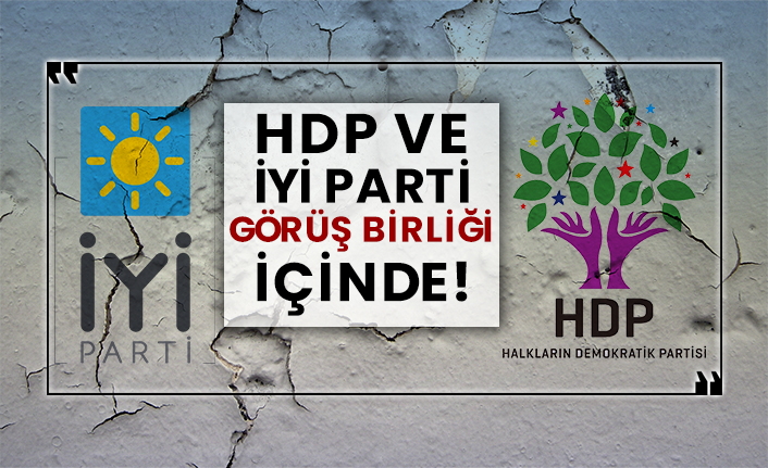 HDP ve İYİ Parti görüş birliği içinde!