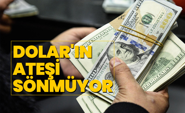 Dolar'ın ateşi sönmüyor
