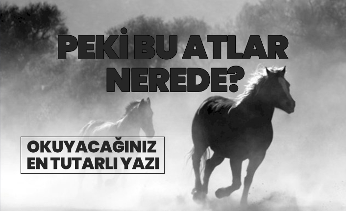 Dörtyol'da kaybolan atlar nerede? "Okuyacağınız en tutarlı yazı"