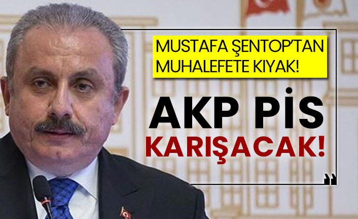 Mustafa Şentop’tan muhalefete kıyak! AKP pis karışacak!