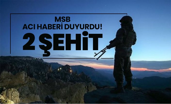 MSB  acı haberi duyurdu! 2 şehit