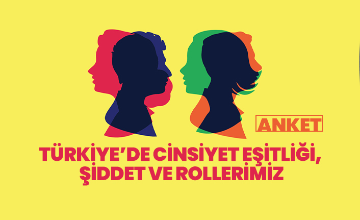 Türkiye’de Cinsiyet Eşitliği,  Şiddet ve Rollerimiz