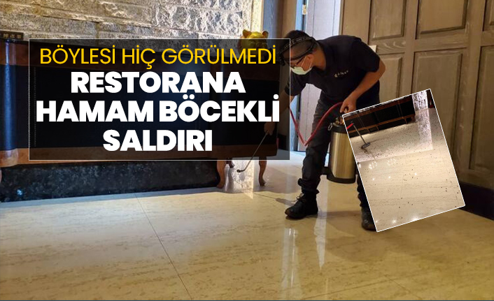 Böylesi hiç görülmedi! "Restorana hamam böcekli saldırı"