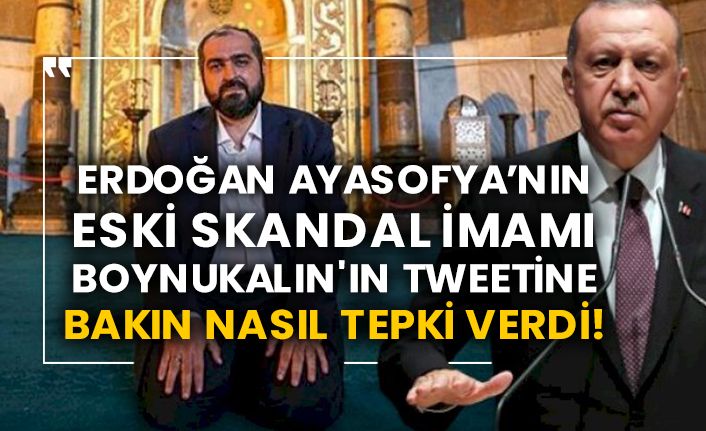 Erdoğan Ayasofya’nın eski skandal imamı Mehmet Boynukalın'ın tweetine bakın nasıl tepki verdi!