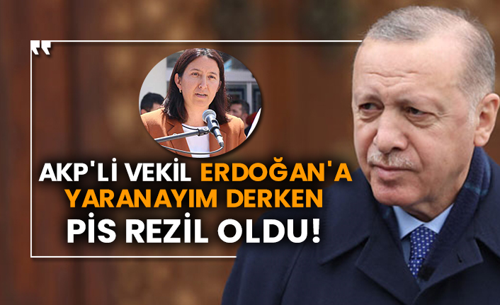 AKP'li vekil Erdoğan'a yaranayım derken pis rezil oldu!