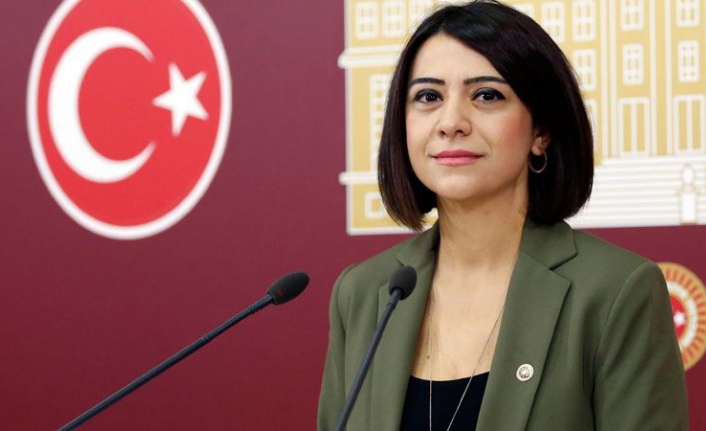 CHP’li Gamze Taşçıer’den tek soruluk önerge “128 milyar dolar nerede?”