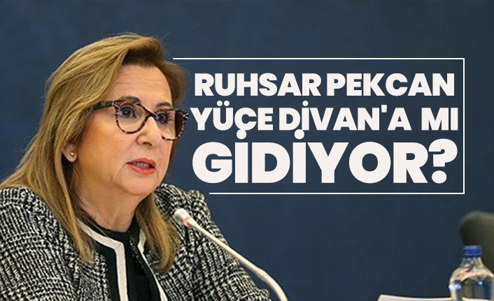 Ruhsar Pekcan Yüce Divan'a mı gidiyor?