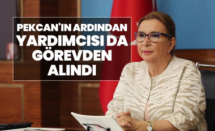 Pekcan'ın ardından yardımcısı da görevden alındı