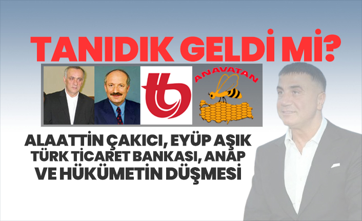 Alaattin Çakıcı, Eyüp Aşık, Türk Ticaret Bankası, ANAP ve Hükümetin Düşmesi