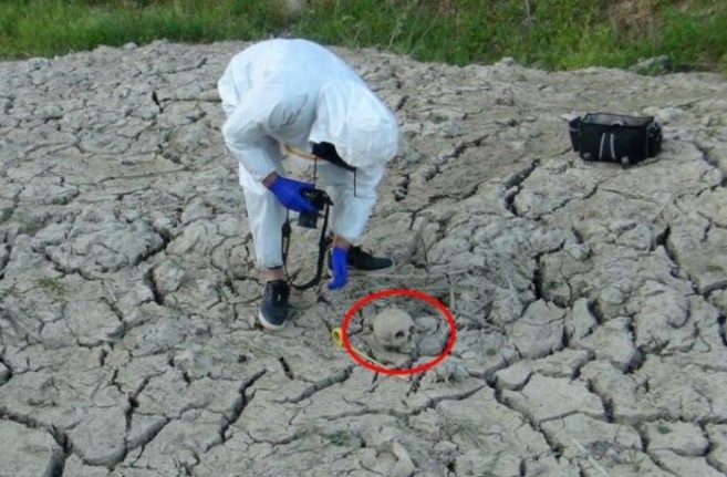 Portakal bahçesini sularken şoke oldu! Okuyunca kanınız donacak!