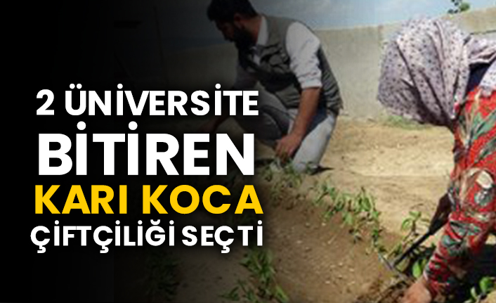 2 üniversite bitiren karı koca çiftçiliği seçti