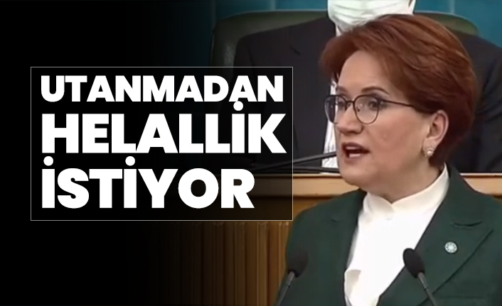 Akşener'den Erdoğan'a "Utanmadan Helallik İstiyor"