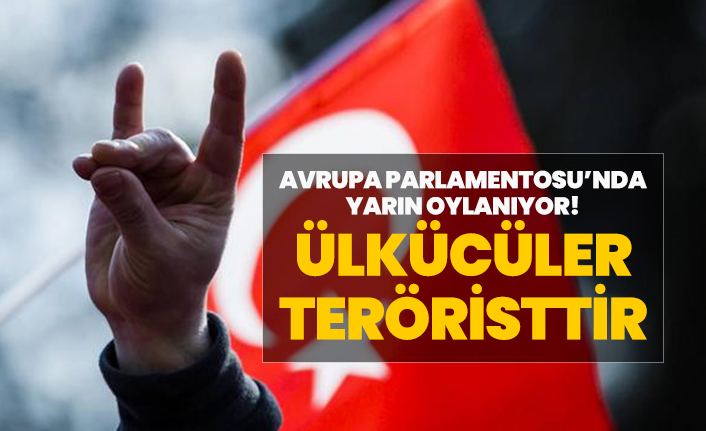 Avrupa Parlamentosu’nda yarın oylanıyor! "Ülkücüler teröristtir"
