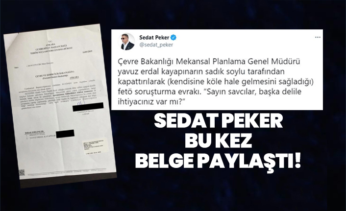 Sedat Peker bu kez belge paylaştı!