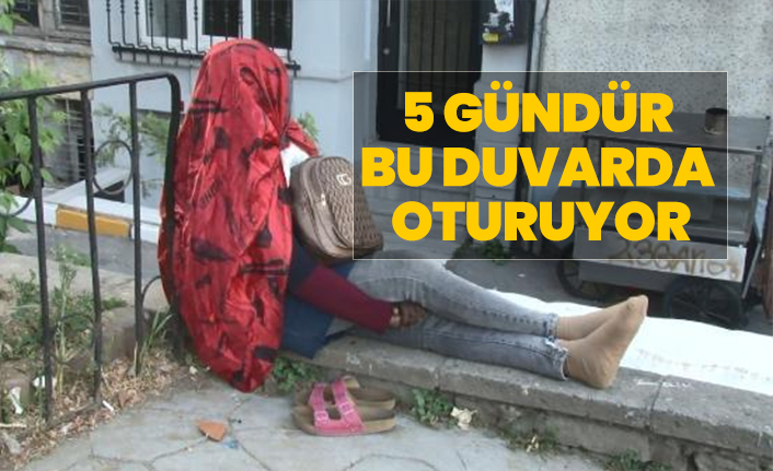 5 gündür aynı duvarda oturuyor