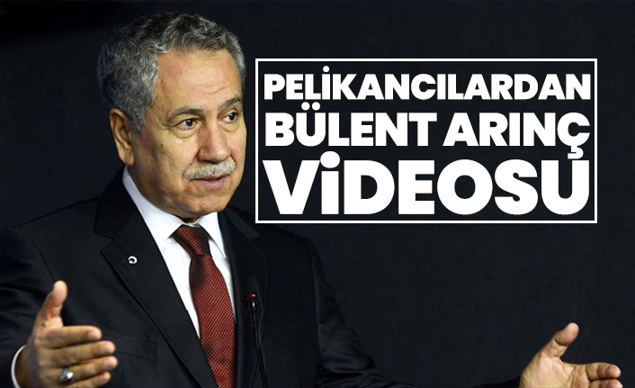 Pelikancılardan Bülent Arınç videosu