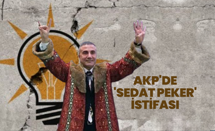 AKP'de  'Sedat Peker'  istifası