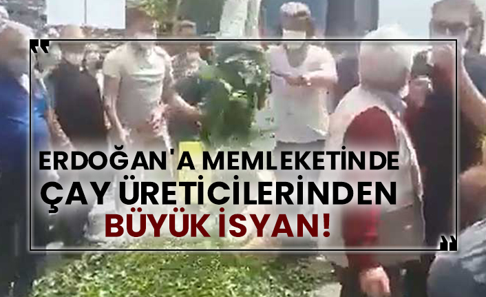 Erdoğan'a memleketinde çay üreticilerinden büyük isyan!