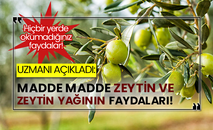 Hiçbir yerde okumadığınız maddeler! Uzmanı açıkladı: Madde madde zeytin ve zeytin yağının faydaları!