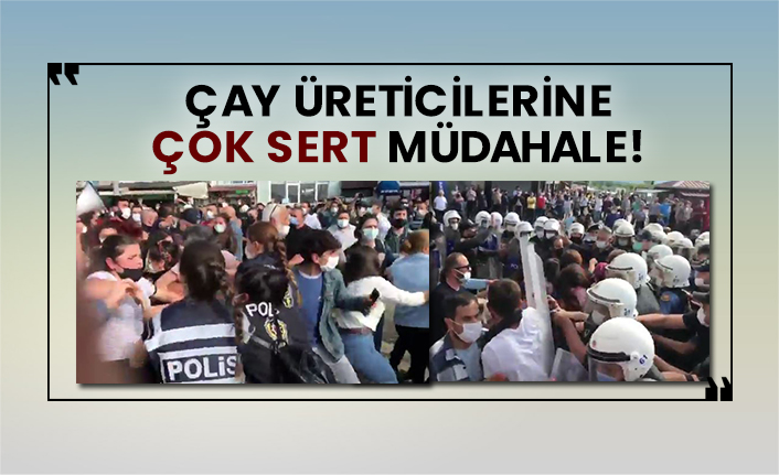 Çay üreticilerine çok sert müdahale!