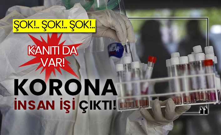 Korona insan işi çıktı!