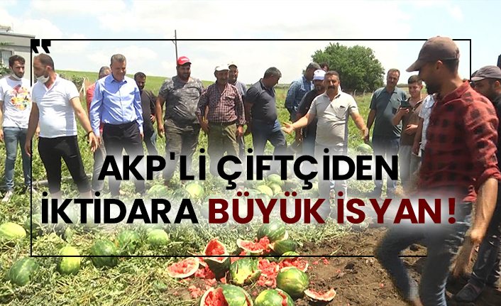 AKP'li çiftçiden iktidara büyük isyan!