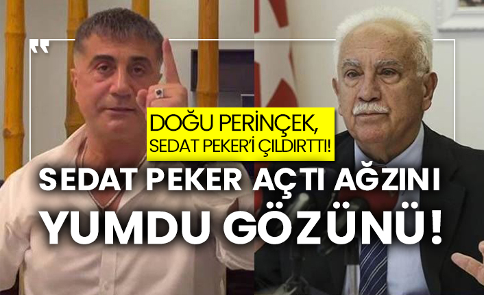 Doğu Perinçek, Sedat Peker’i çıldırttı! Sedat Peker açtı ağzını yumdu gözünü!
