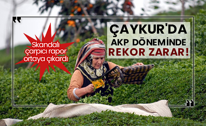 Çaykur'da AKP döneminde rekor zarar!