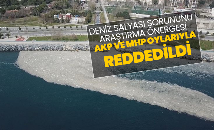 Deniz salyası sorununu araştırma önergesi, AKP ve MHP oylarıyla reddedildi