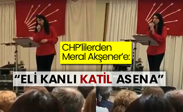 CHP’lilerden Meral Akşener’e: “Eli kanlı katil Asena”